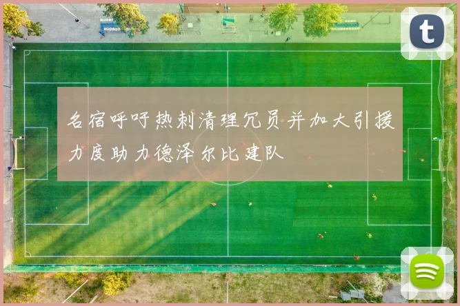 名宿呼吁热刺清理冗员并加大引援力度助力德泽尔比建队